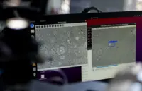 AI is finding sperm where doctors couldn’t