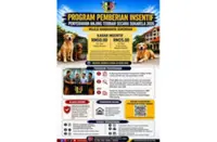 Seremban Council’s stray dog bounty risks pet theft, injury, warns animal rights group