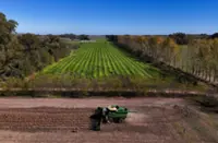 How will Latin America's super El Niño affect the top food-exporting region?