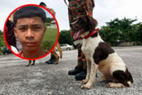 K9 dog Frankie deployed on day three of search for missing teen in Sungai Kelantan