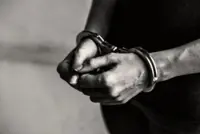 Three nabbed, six birds seized in wildlife crime bust