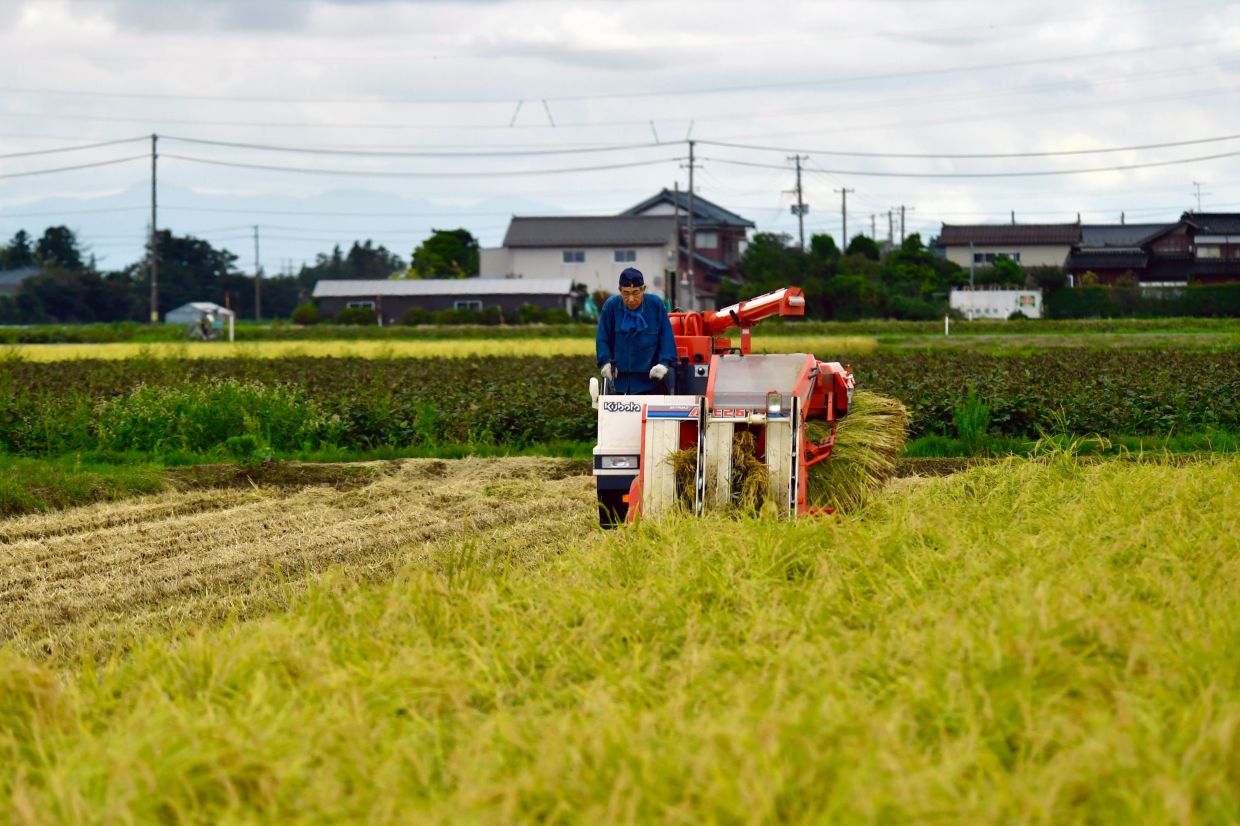 Farming uses 70% of the world's water. — CHENTE/Pexels