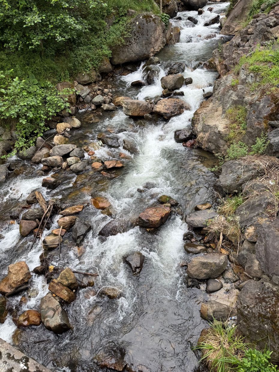 There is no new water coming; what we have is what we have. — HANY NAFADY/Pexels