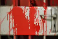 Couple’s nightmarish encounter with loan shark