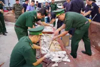 Authorities in Vietnam discover more than a ton of concealed ivory illegally shipped from Africa