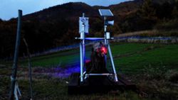 Can robots save an ageing Japan?