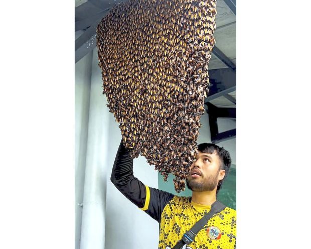 Bee kind to the pollinators