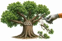 Malaysia must shrink its GLCs