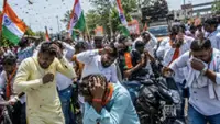 Bees attack Tiranga Yatra procession in India's Madhya Pradesh, 40 BJP workers injured