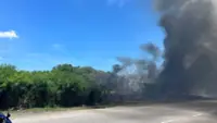 Selangor Bomba battling forest fire near Port Klang