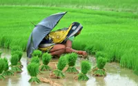 This year’s El Niño is already changing the world