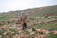 West Bank settler violence: A brutal doctrine
