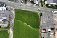 Security footage in Japan captures moment rice paddy cracks during Kumamoto earthquake