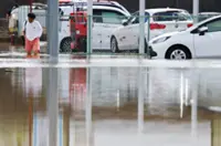 Eastern Japan rain kills nine: report