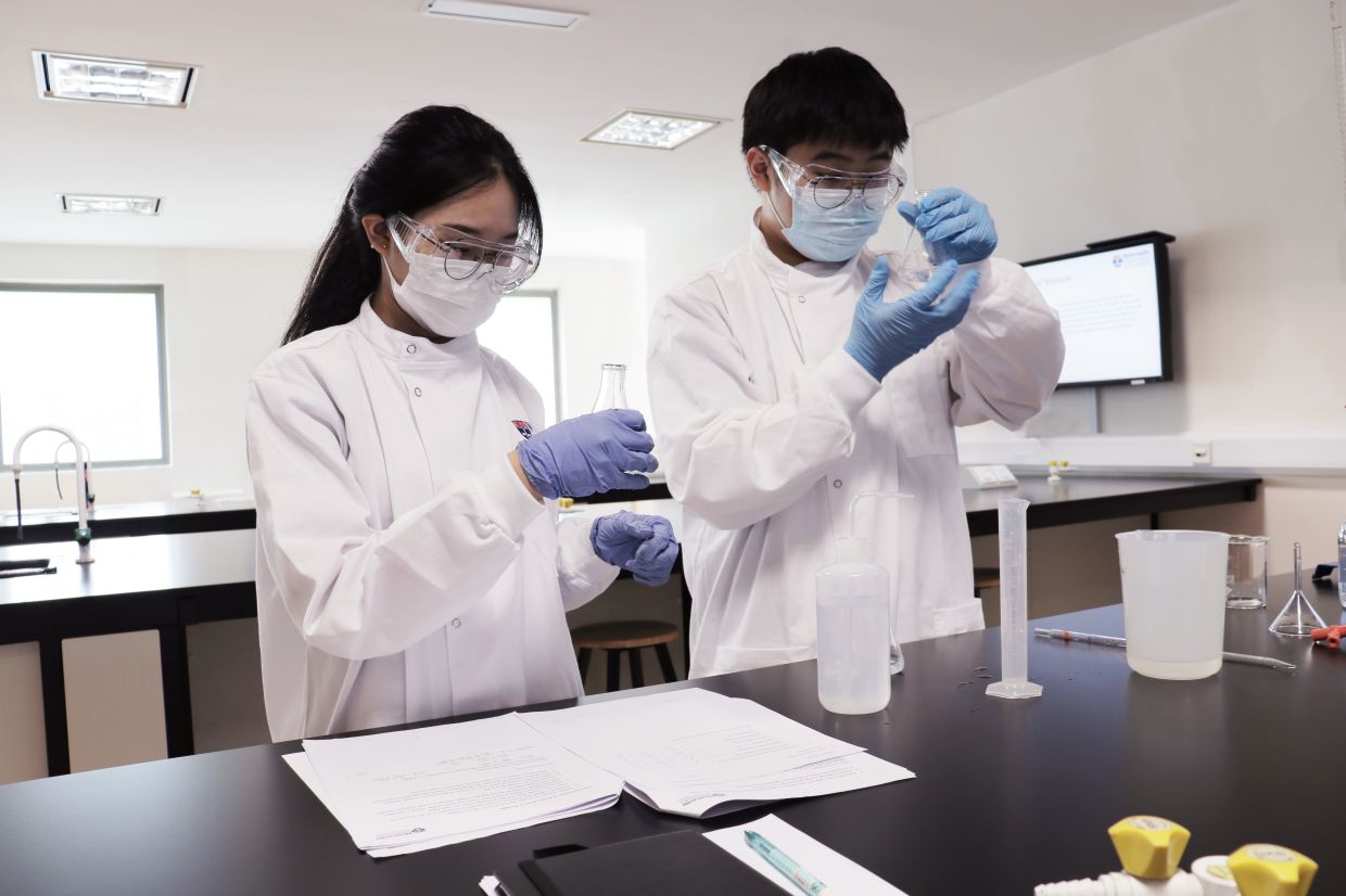 Through hands-on learning, research experience and clinical exposure, NUMed students develop the skills needed to contribute to the future of healthcare.