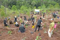 Tree mission for a greener future