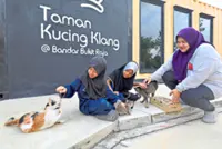 MBDK planning collaboration with NGO to neuter strays
