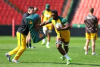 Rugby-Springboks wait on Kolisi, Nche fitness ahead of first All Blacks test