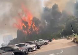Forest fire breaks out near MAIS building in Shah Alam