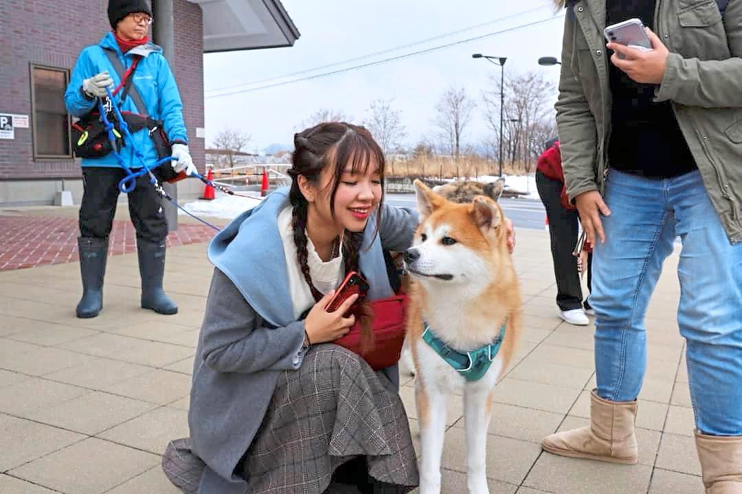 Akita has its very own dog breed, the Akita inu. — ADELINE LEE