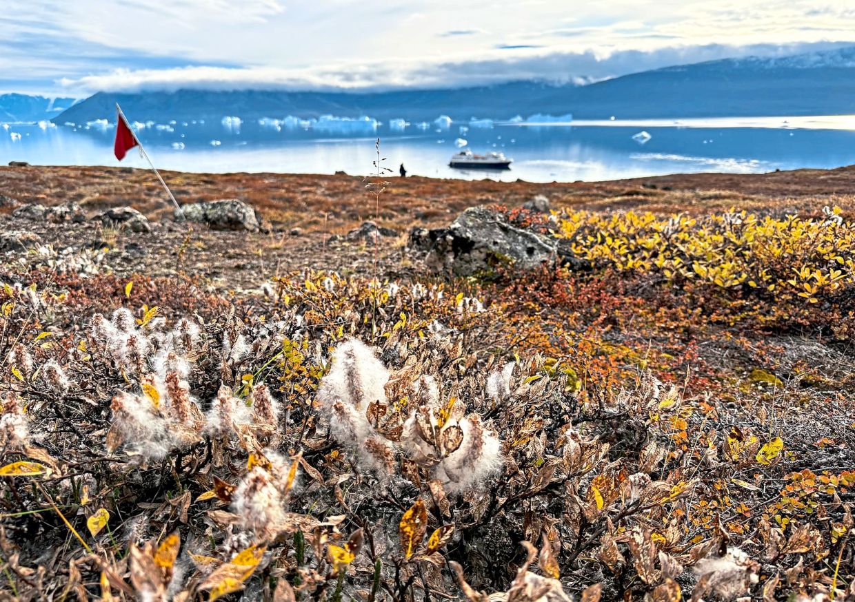 The tundra in Harefjord in surprisingly bright autumnal colours.