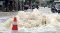 Korea's southeastern region reports over 2,500 cases of storm damage