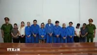 Eleven prosecuted in alleged kidney trafficking ring in HCM City