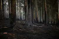 Climate damage: the next hit to Europe's public finances