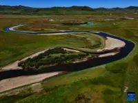 China shows degraded land can recover, senior UN official says