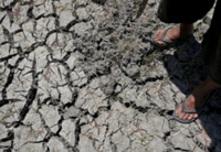 Eight areas in Sabah hit by dry spell