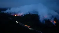 Indonesia wildfires damage nearly 95,000 hectares of land in July alone, minister says