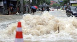 Korea's southeastern region reports over 2,500 cases of storm damage