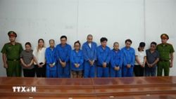 Eleven prosecuted in alleged kidney trafficking ring in HCM City