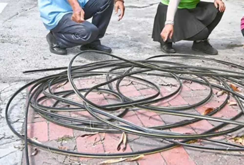 Cops hunting four suspects following cable theft attempt in JB
