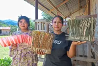 Shortage of forest leaves for ‘tempok’ affecting Temiar Orang Asli weavers