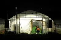 Japan's farmers go nocturnal as deadly heat intensifies