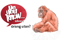 Do you know ... about Orang utan Facts?