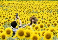 Foreign visitors to Japan hit 3.33 million new record in July