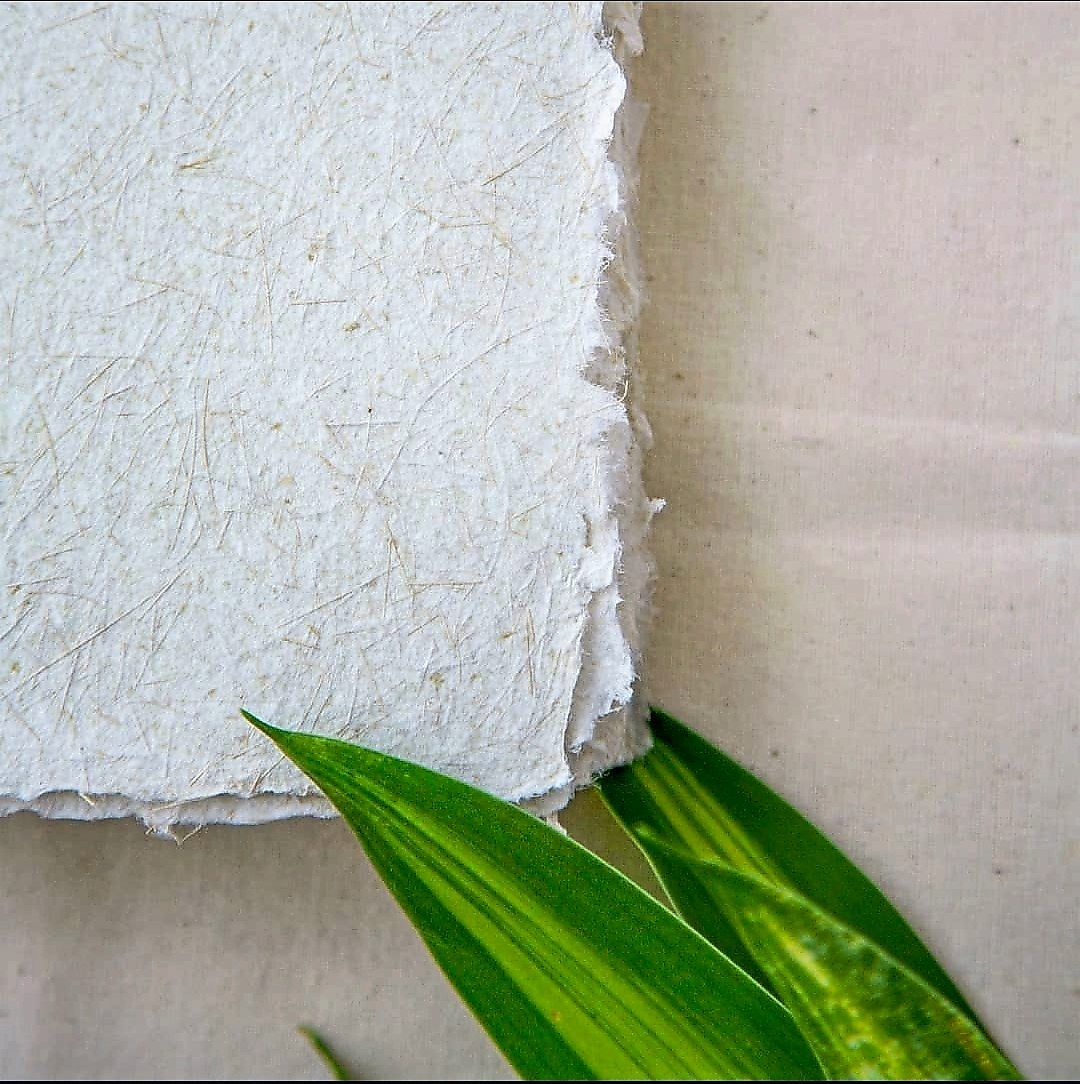 Handmade paper made from a blend of screwpine leaves and recycled paper.