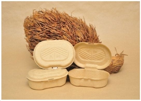 Palm-based containers made from palm tree empty fruit bunch (EFB). Photo: Filepic