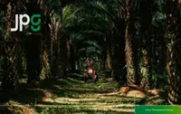 Weaker FFB weighs on Johor Plantations earnings