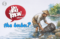 Do you know ... about the bubu?