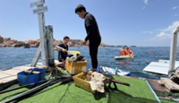 Volunteer divers fight to bring Vietnam reefs back to life