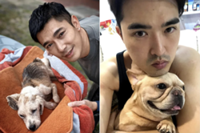Singaporean celebs Elvin Ng and Lee Teng post painful goodbyes to their late dogs