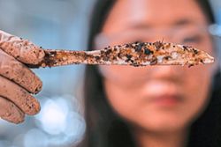Plastic made from sugar: An alternative to traditional plastics