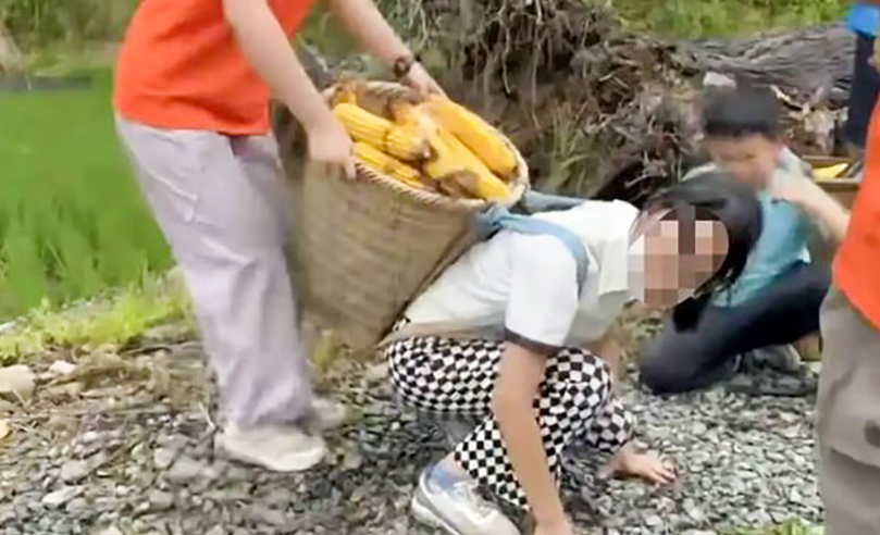 The activities assigned to children at these camps reflect the daily duties of farmers, including digging and selling potatoes, peeling bark, and tending to livestock. - ettoday.net