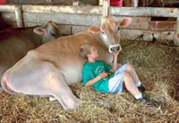 Why farm children have less asthma