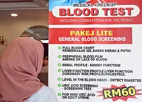 Understanding those blood test numbers
