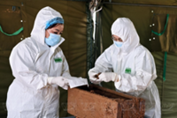 Over 7,000 samples of Vietnamese war martyrs' remains transported to Hanoi for DNA identification