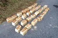 Large volume of shokupan bread, raw chicken meat found abandoned in Mt. Daisen area in Japan’s Tottori Prefecture